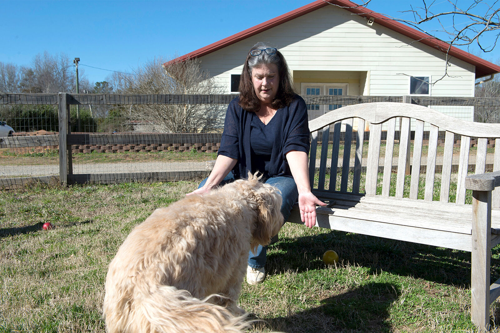 US-NEWS-SERVICE-DOGS-DEMAND-MCT